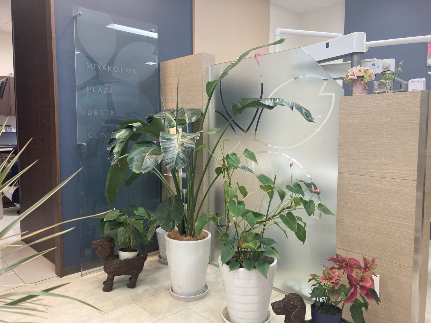 都島プラザ歯科