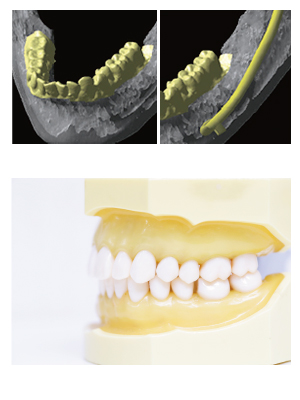 緑が丘駅前ワタナベ歯科詳細写真2