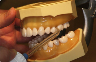 庄内歯科医院詳細写真2