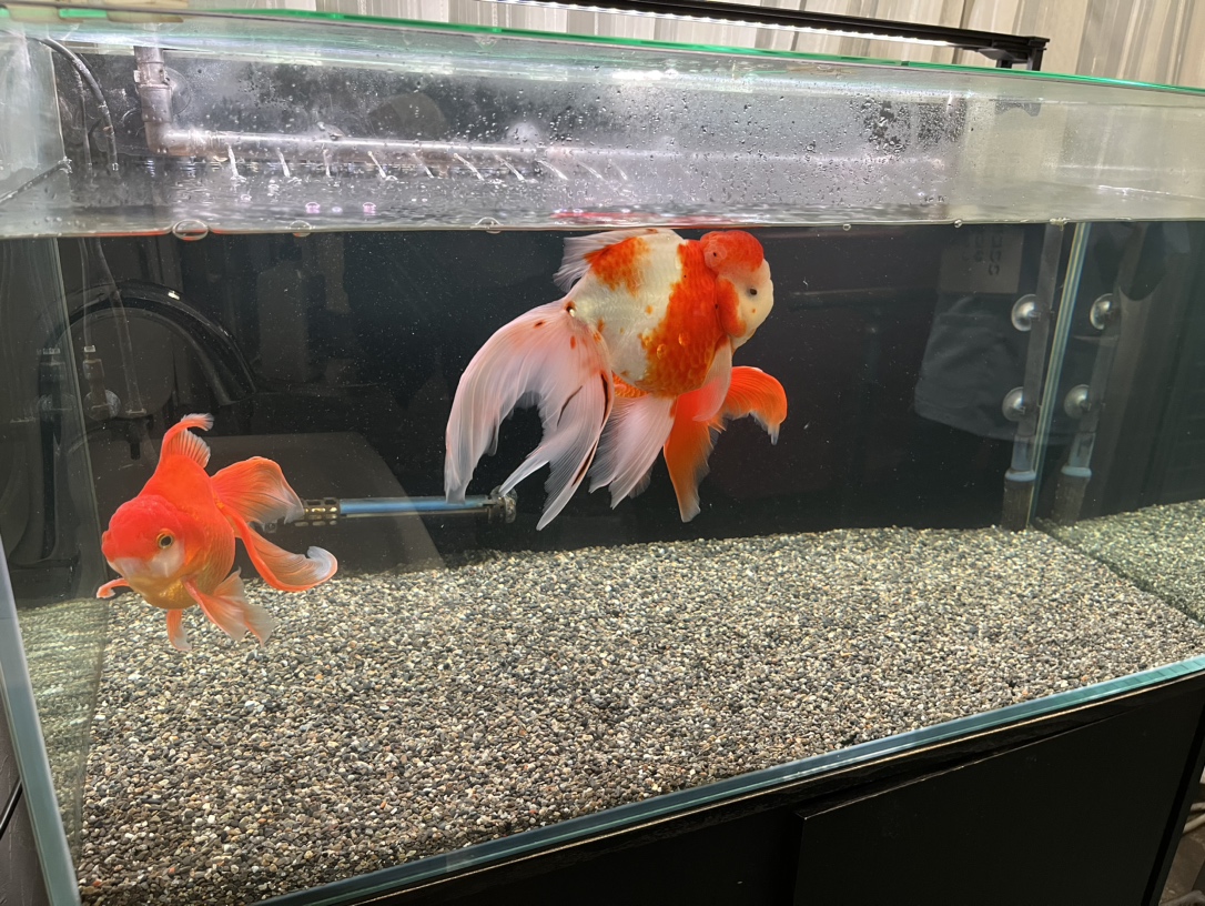 みやはら内科外科クリニック