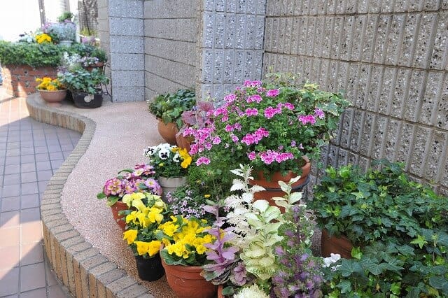 木村慎吾歯科クリニック