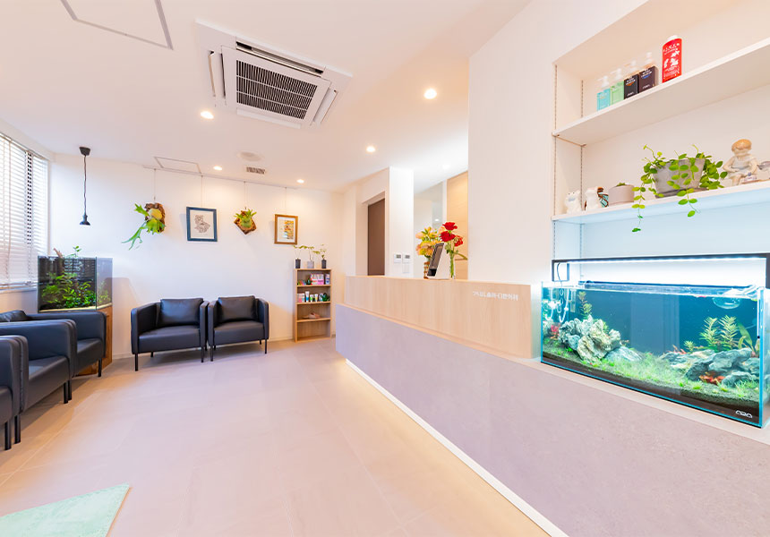 つちはし歯科・口腔外科