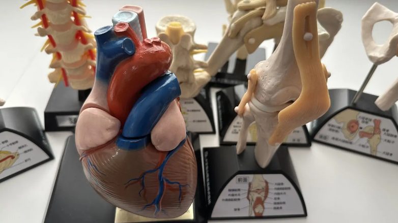 きむら整形外科・循環器内科クリニック詳細写真2