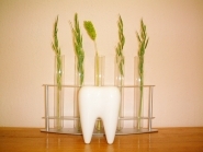 若葉歯科医院詳細写真1