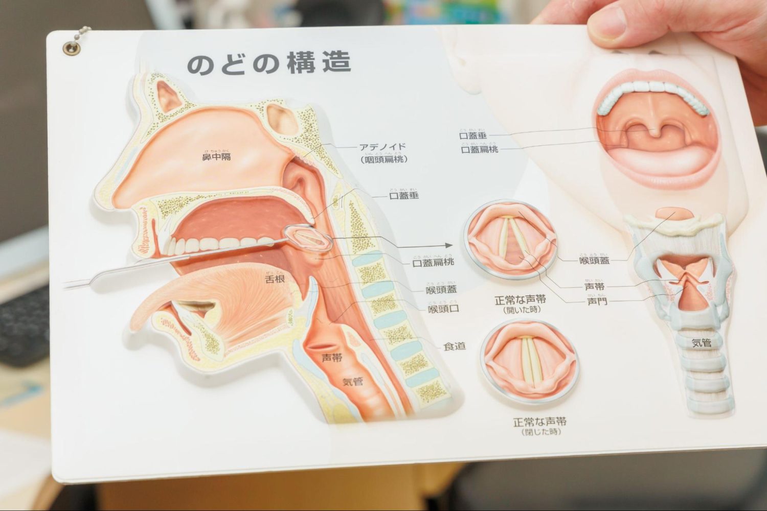 はやかわ・すずきクリニックphoto