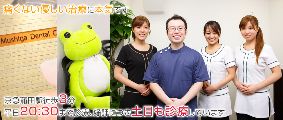 むしが歯科