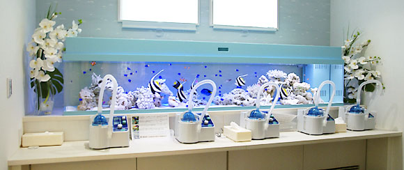 ふじさわ耳鼻咽喉科