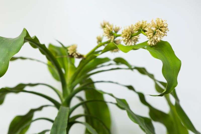 人形町耳鼻咽喉科めまいクリニック