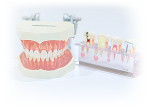 桜町歯科クリニック詳細写真1