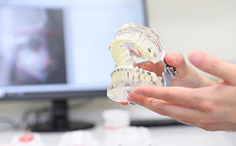 いぬやま矯正歯科詳細写真3