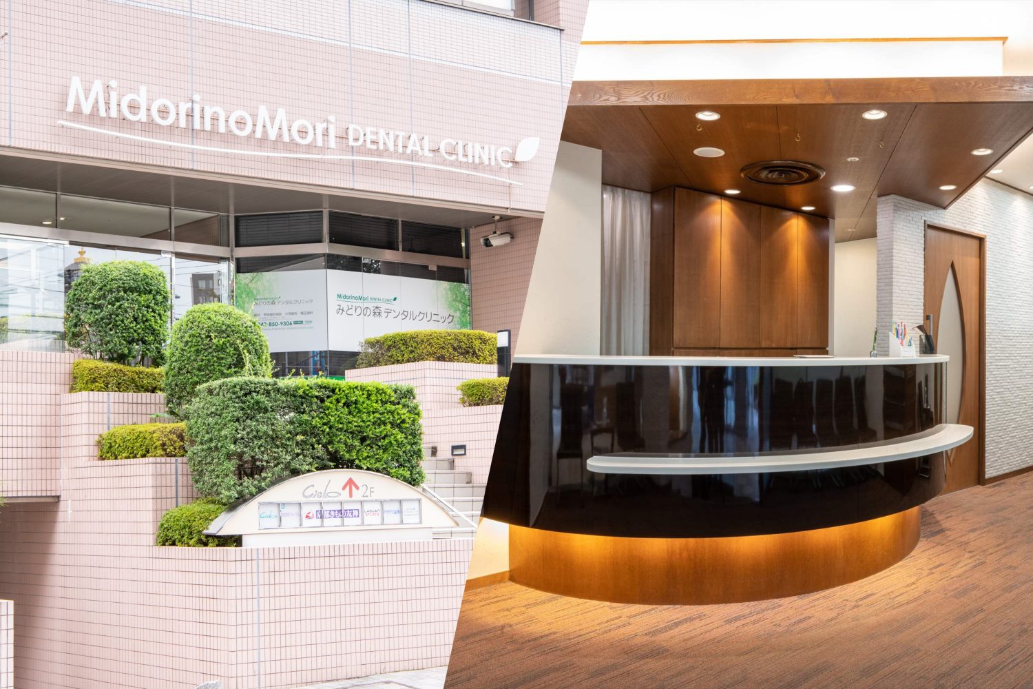 みどりの森デンタルクリニック 町田院