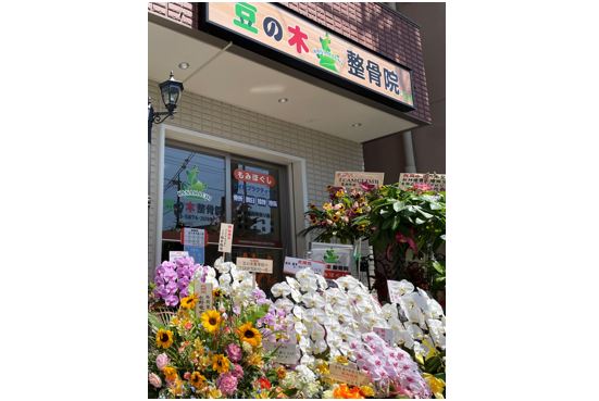 金町 豆の木整骨院
