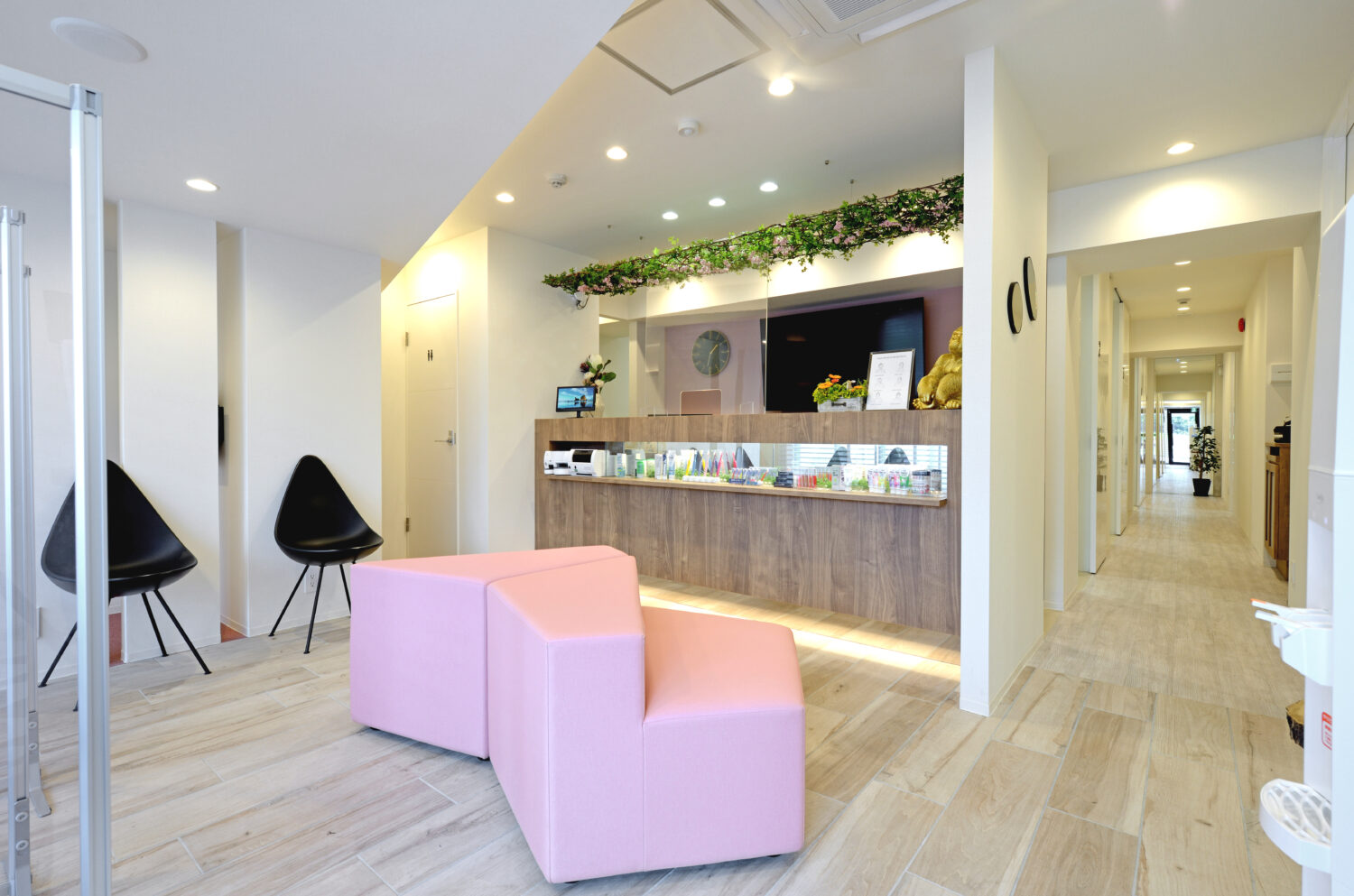 アペックスメディカルデンタルクリニック