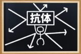 新型コロナワクチン2回接種で、感染経験者の抗体量を上回る