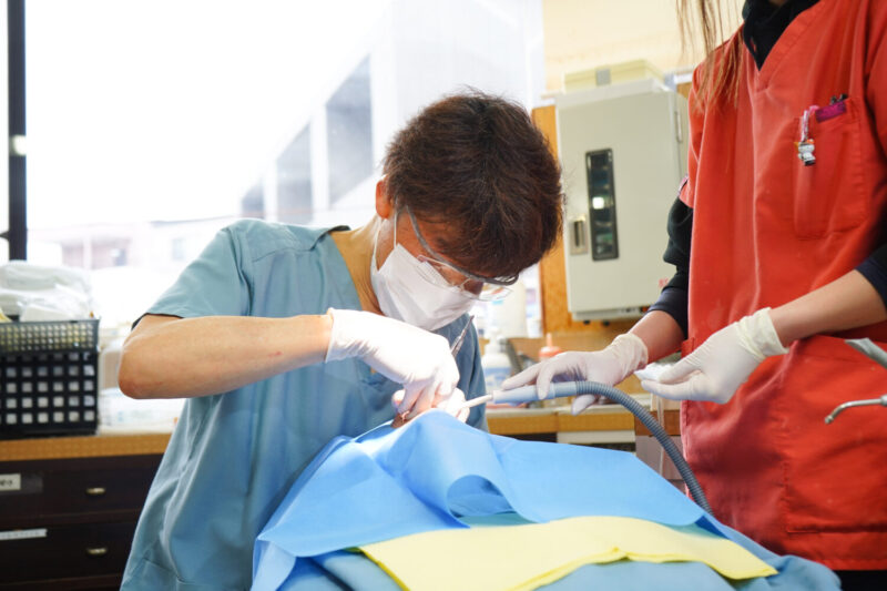 うしかい歯科クリニック