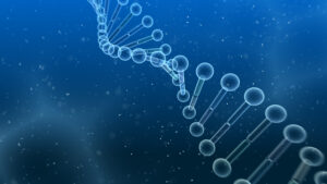 「染色体異常」とは？原因・検査について詳しく解説！【医師が監修】