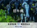 「狂牛病」の症状や予防方法はご存じですか？死亡率や人にうつるかなども解説！