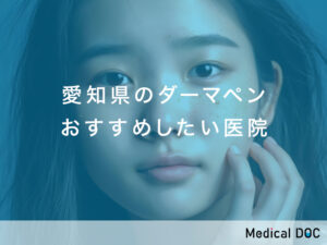 愛知県-ダーマペン