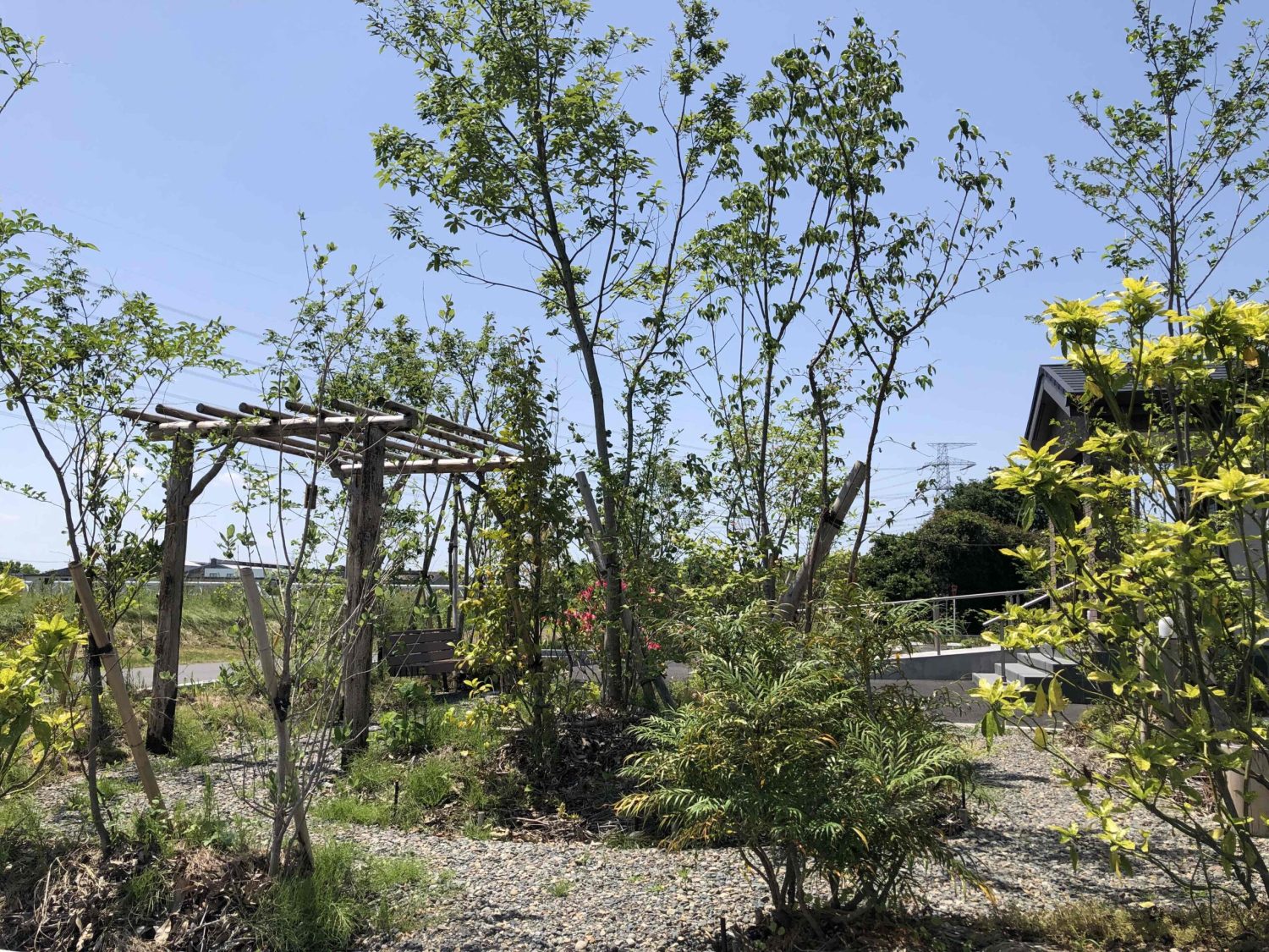 やまざき漢方内科診療所