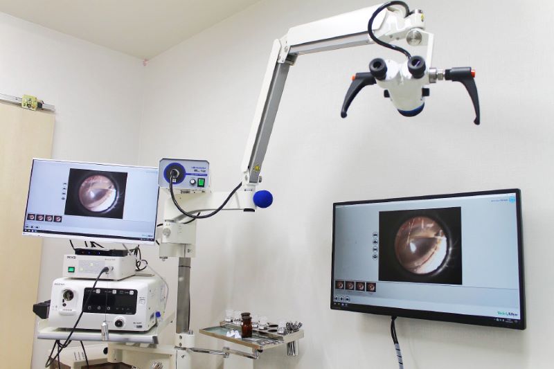 こぶし耳鼻咽喉科クリニック