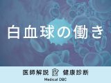 「白血球の働き」はご存知ですか？基準値や結果の見方も医師が徹底解説！