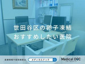 世田谷区の卵子凍結 おすすめしたい医院