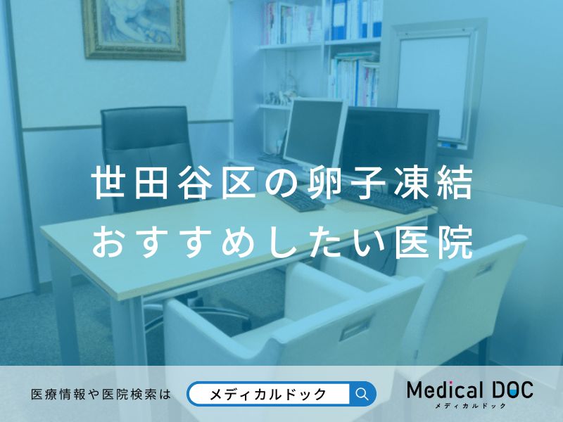 世田谷区の卵子凍結 おすすめしたい医院