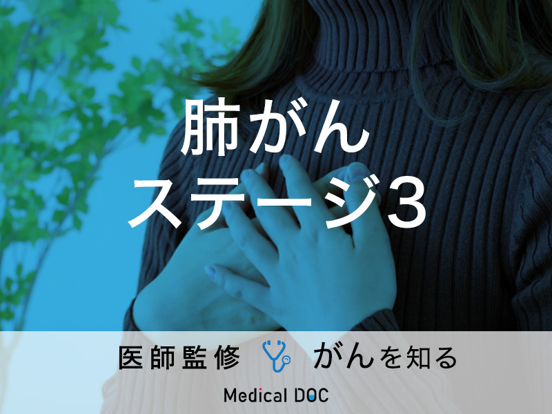 ステージ 2 の肺がんの治療