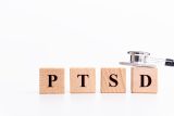 「PTSD」発症メカニズムを解明! 「治療薬開発の大きな一歩」東大研究チーム発表