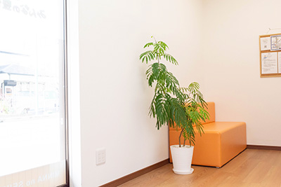 みんなの整骨院