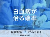 「白血病が治る確率」はご存知ですか？生存率や治療法も解説！【医師監修】