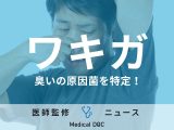 「ワキガ」の悩みに終止符!? 臭いの原因菌を特定、ワキガ治療の光明となる研究結果