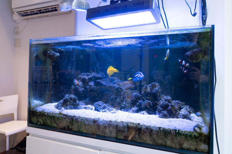 sara歯科クリニック野方photo