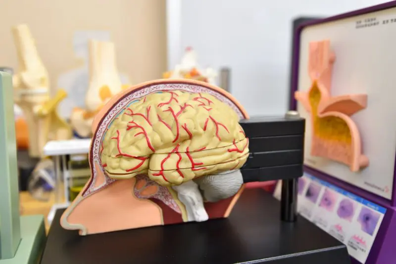 さかぐちクリニック