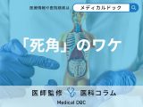 非公開: ｢大腸カメラに死角がある｣と内視鏡専門医が語るワケ だから定期検査は必要