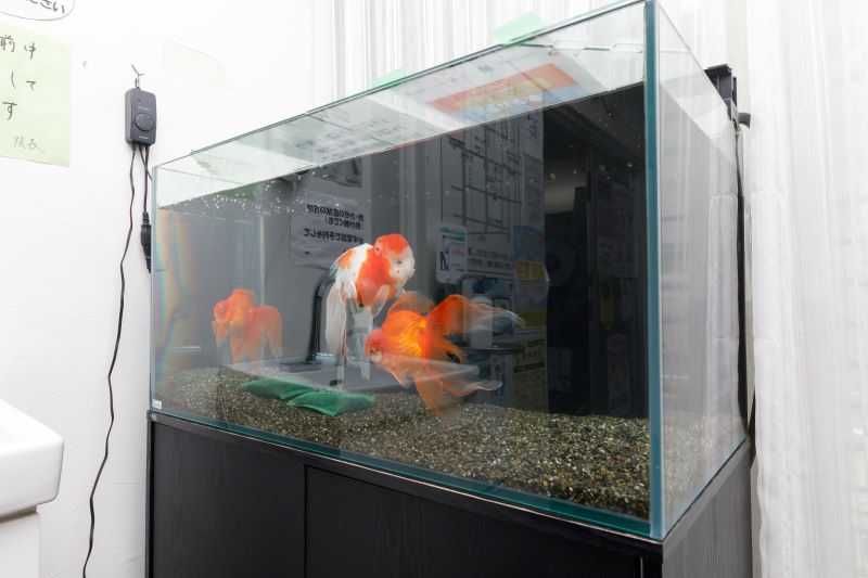 みやはら内科外科クリニックphoto