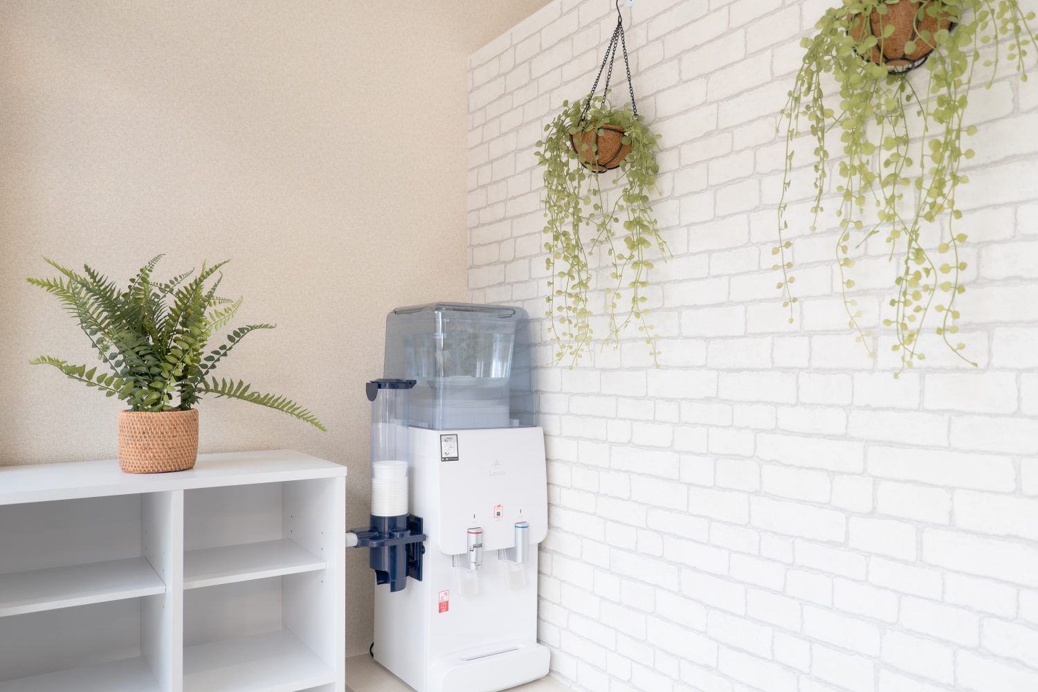 からくり整骨院