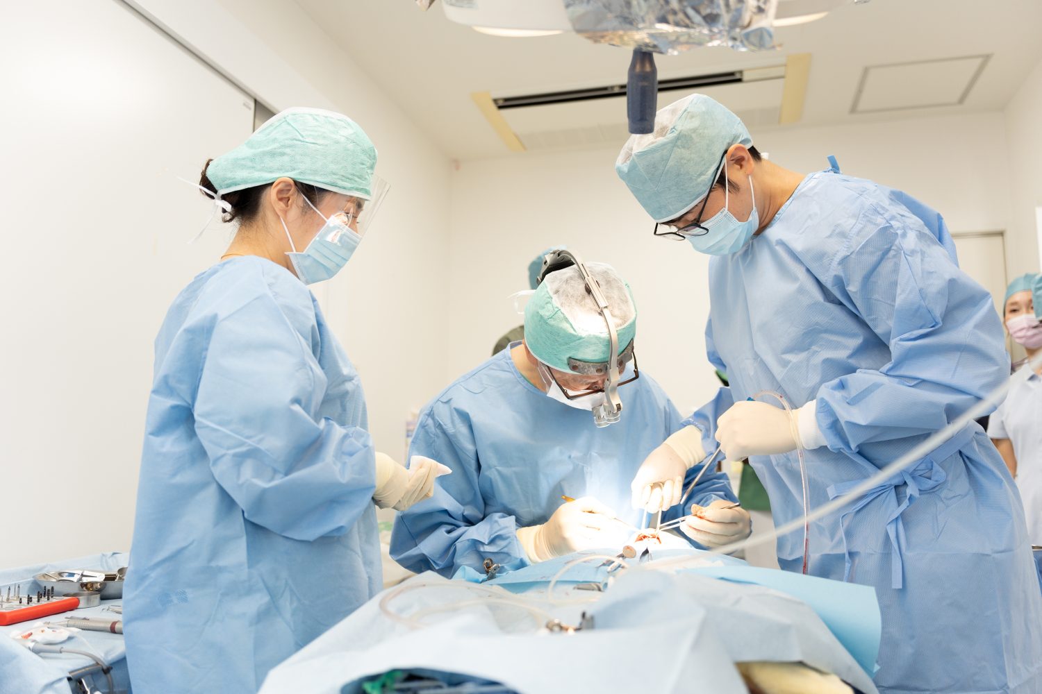 鶴見歯科医院photo