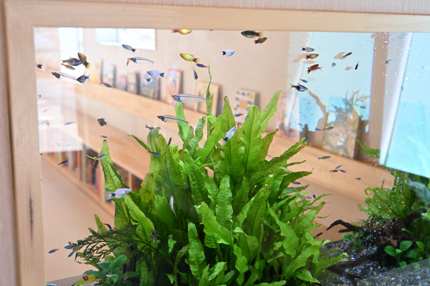 みどりのこどもクリニックphoto