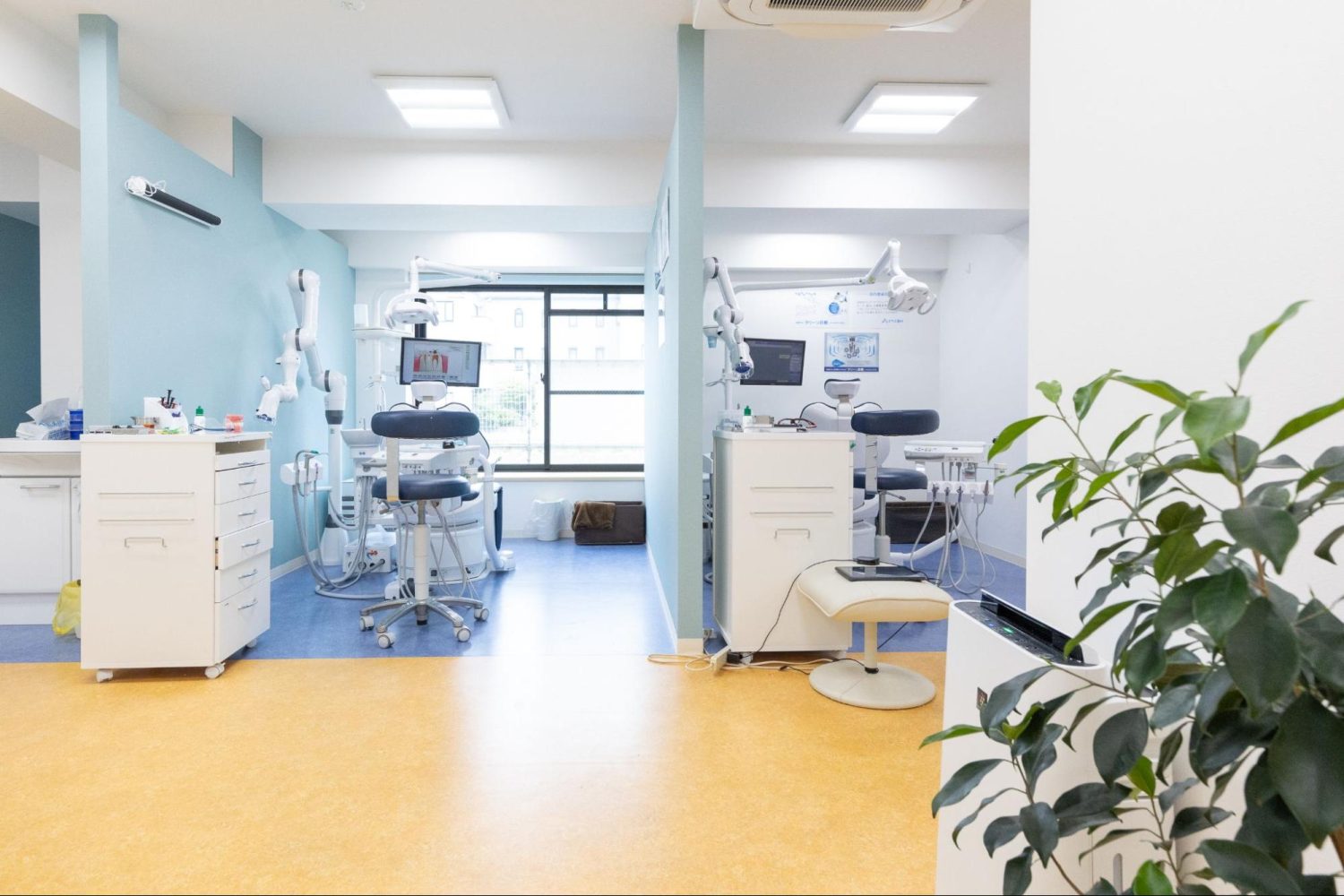 マウス歯科photo