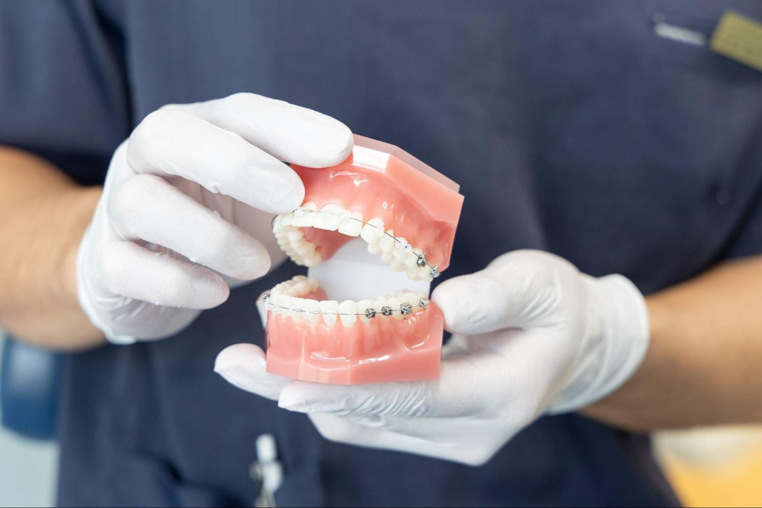 マウス歯科photo