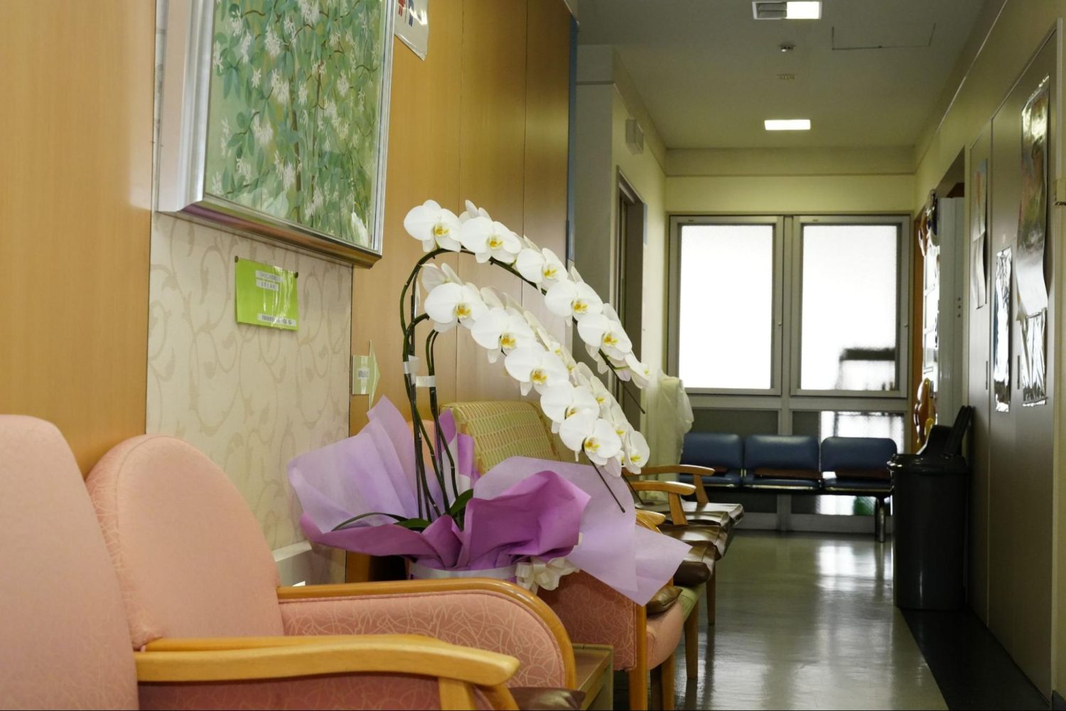 秋葉産婦人科photo