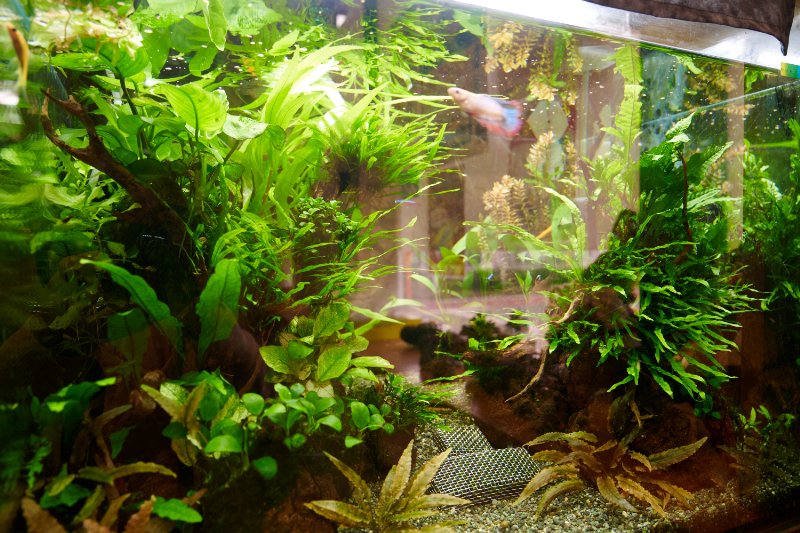 やまもとクリニックphoto