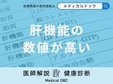 「肝機能の数値が高い」原因はご存知ですか？下げる方法も医師が徹底解説！