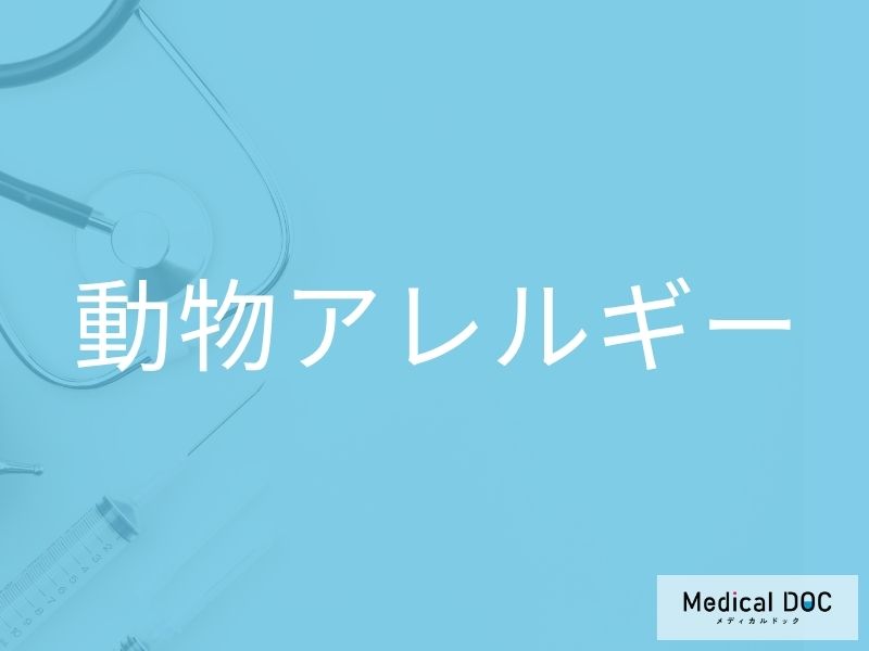 動物アレルギー