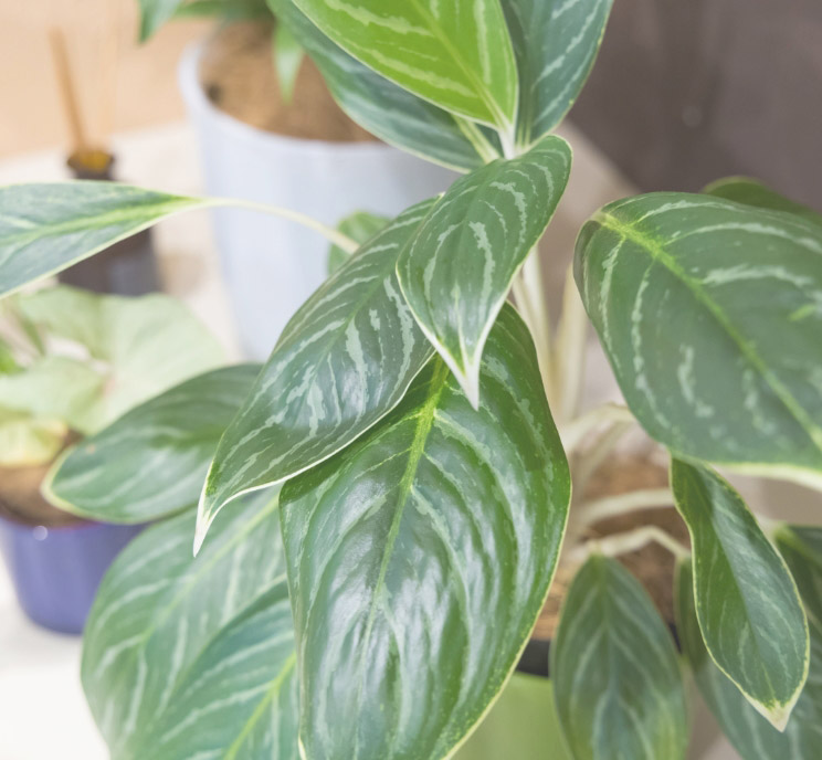 日本橋メンタルクリニックphoto