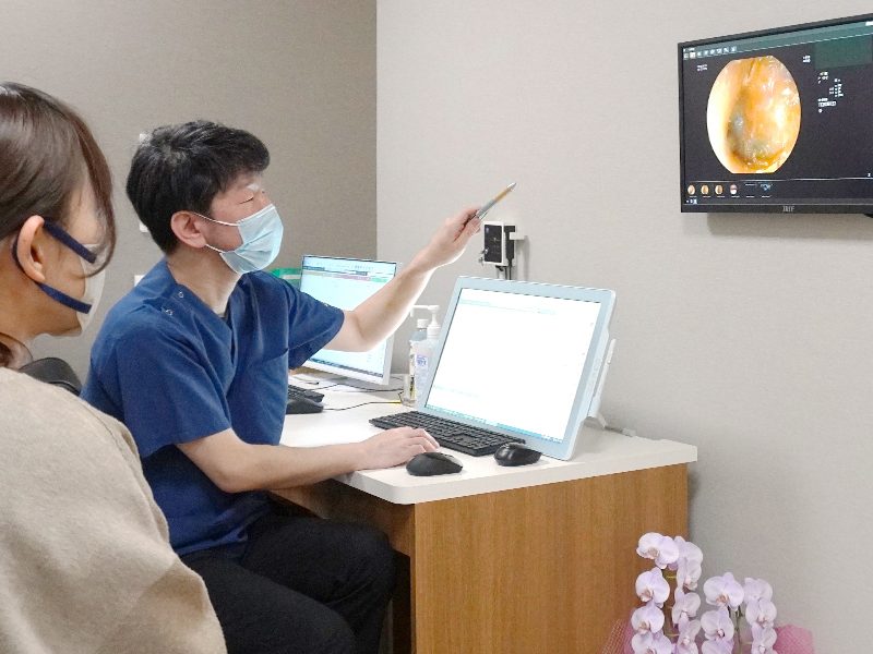 耳鼻咽喉科・頭頸部外科くまべクリニックphoto