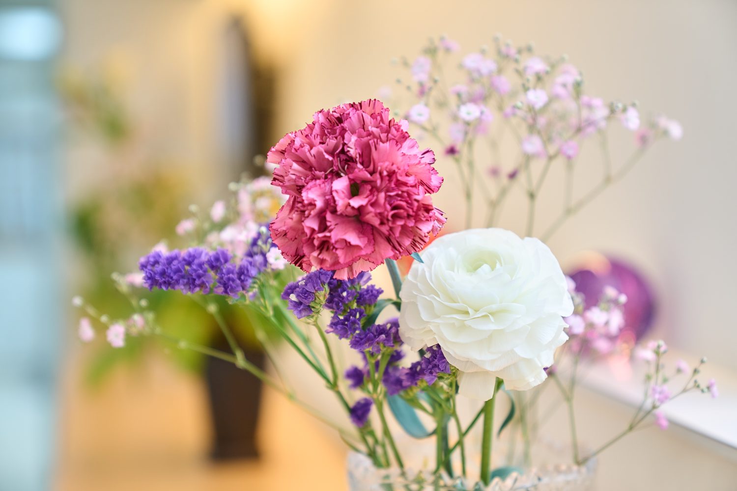 トミイ歯科・矯正歯科photo