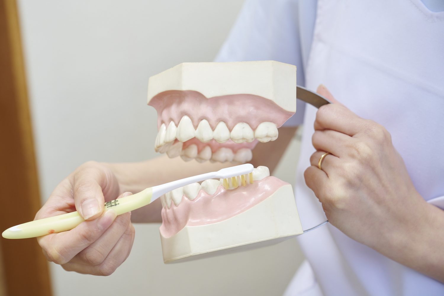 滝沢歯科医院photo