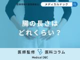 「腸の長さ」はどれくらい？腸を広げるとテニスコート何面分？【医師監修】